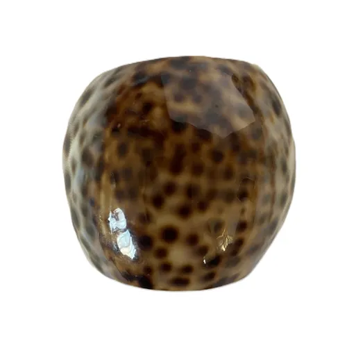 Tiger Cowrie Shell Napkin Rings