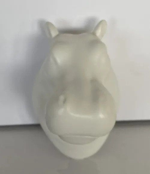 Hippo Head