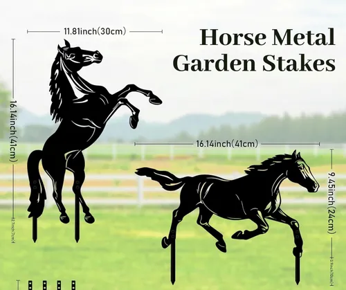 Iron Horse Silhouette