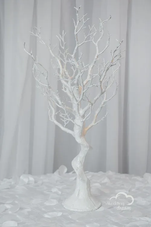 White Manzanita Tree