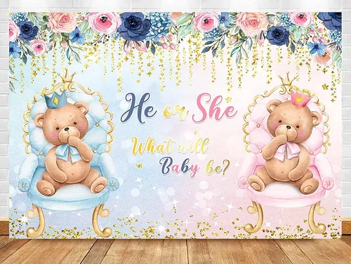 Backdrop - He or She What Will Baby Be