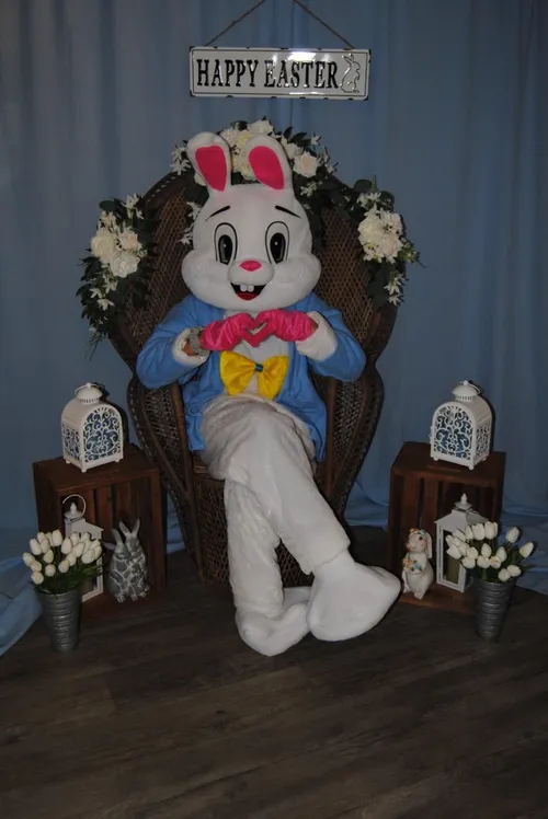 Bella the Bunny Costume Rental
