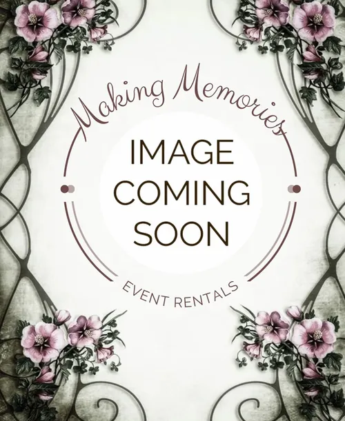 Wood Slices - Various Sizes