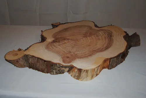 XL Wood Slices - Various Sizes