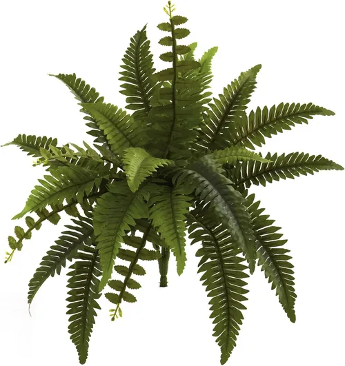 Boston Fern Artificial Plant
