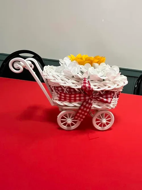 Woven Carriage Stroller - Option to Customize