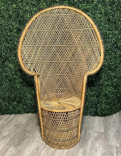 Chair - Peacock Chair - Junior