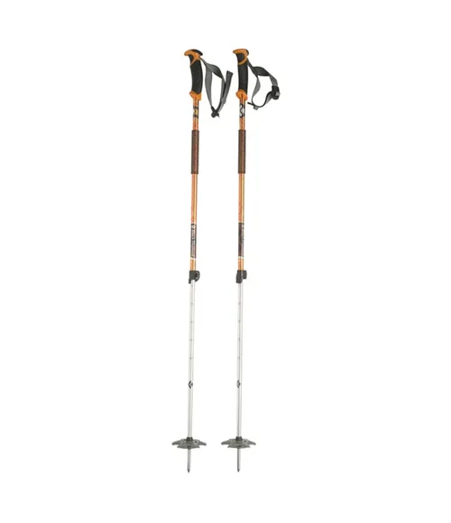 Ski Poles