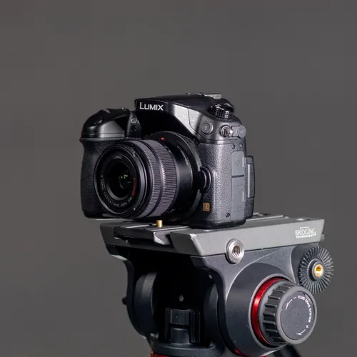 Panasonic Lumix GH3 Mirrorless Camera