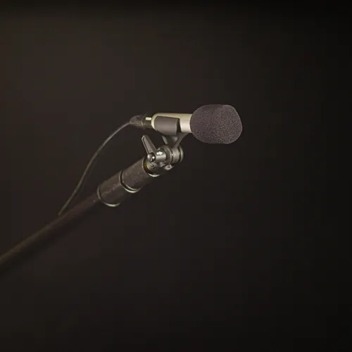 RODE Cardioid Studio Condenser Microphone (NT5)