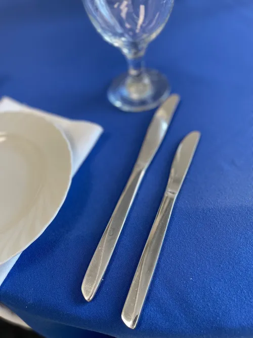 Fan Dinner Knife
