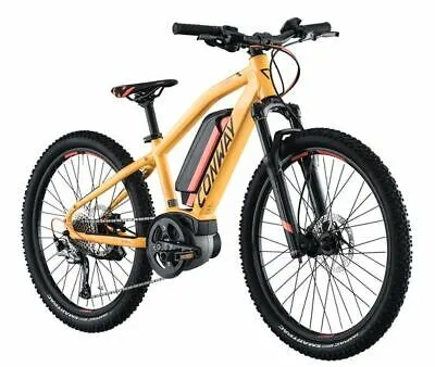 E-MTB Kids Hardtail 24