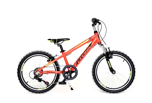 MTB Kids 20