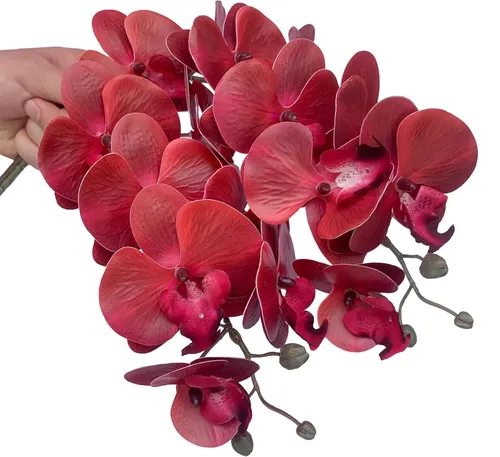 Phalaenopsis bloemen (per 6 stuks)