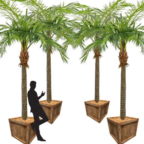 4 kunstpalmbomen 4,5m