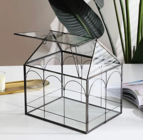 Black Terrarium Cardbox