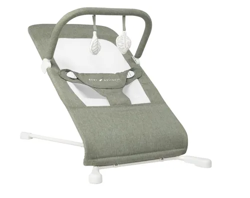 Baby Bouncer 