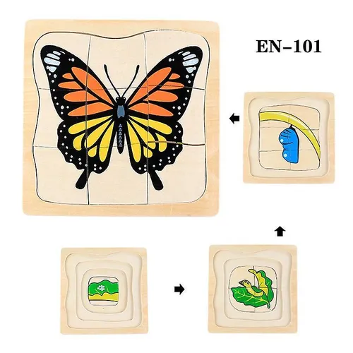 Vývoj motýla - vícevrstvé puzzle