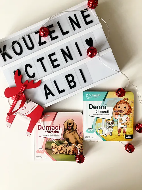 Alb kniha denní činnosti