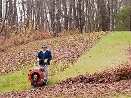 Leaf blower Walk behind