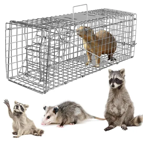 Cage  cat or possum