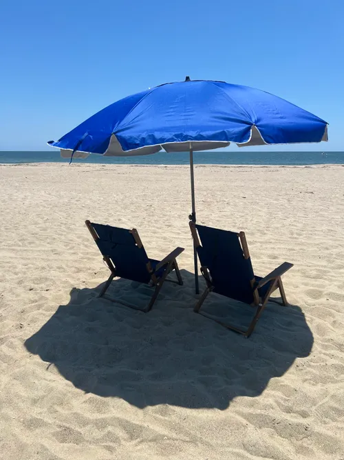 Premium Wooden Lounger