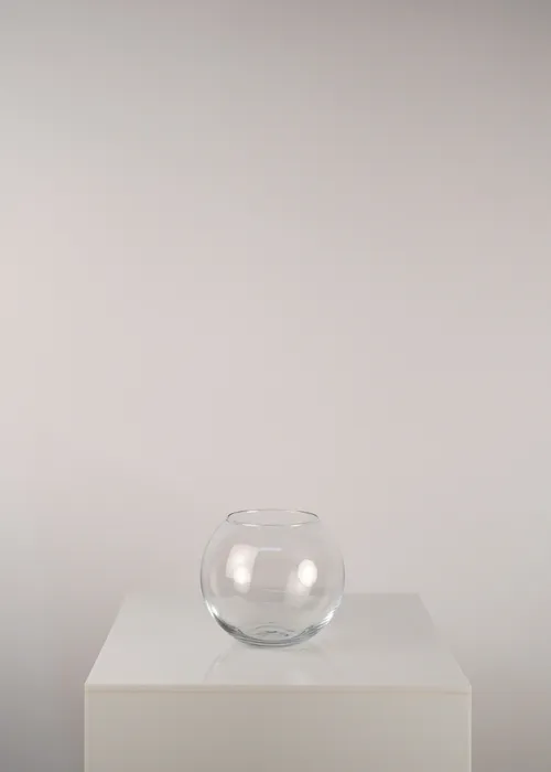Round Glass Vase