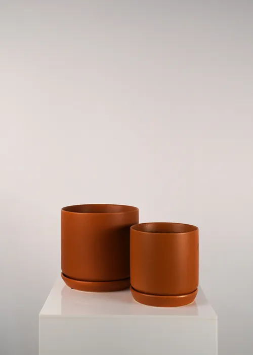 Terracotta Vases