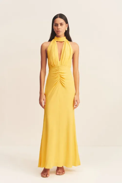 Shona Joy Pierce Halter Maxi Dress