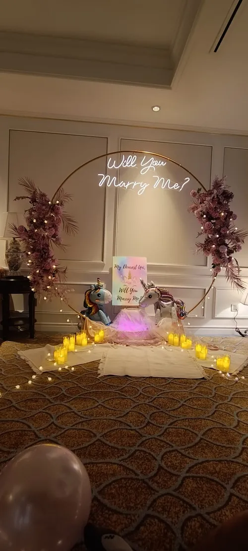 Will you marry me Neon (Batt Operated)