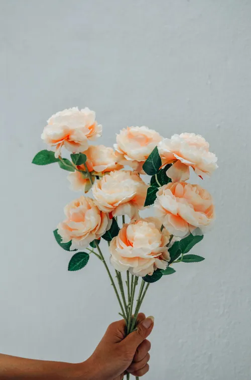 Peony Spray Artificial Flower (Champagne)