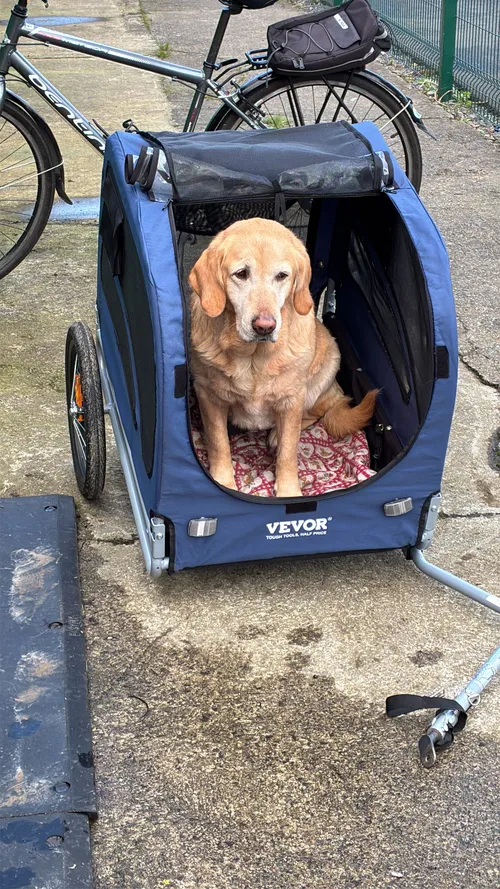 Big Doggie Trailer - Up to 100lbs (45kg)  - Only Suitable For Calm Dogs