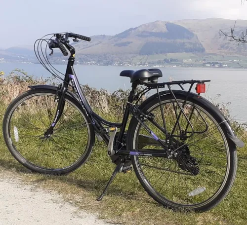 Ladies - LARGE (5'' 6' +) - maximum recommended weight 110kg