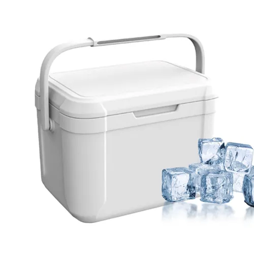 Small Cooler
