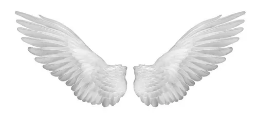 Wings