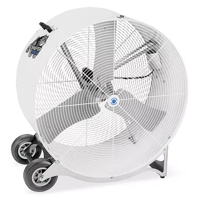 Big Round Fan