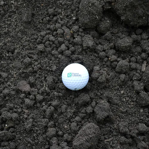 Black Dirt