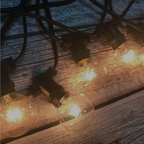 Festoon Lights 25m