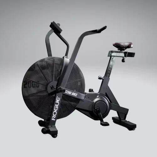 Rogue Echo Bike Hire