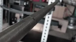 25kg Squat Bar