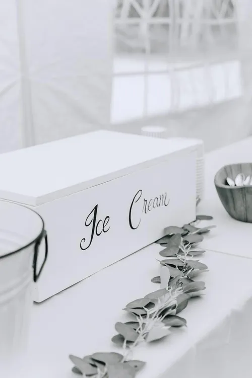 Ice Cream Box (holds 3 pails)