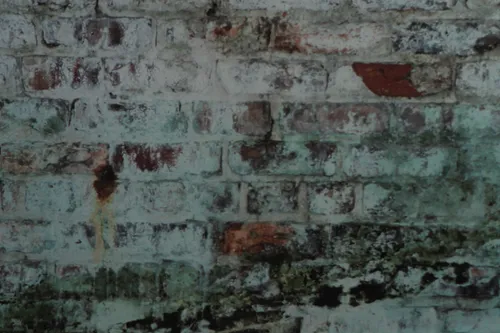 Dead End Mint Background 10x8