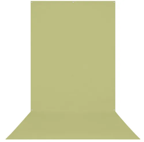 Light Moss Green 8'x13' wrinkle free background