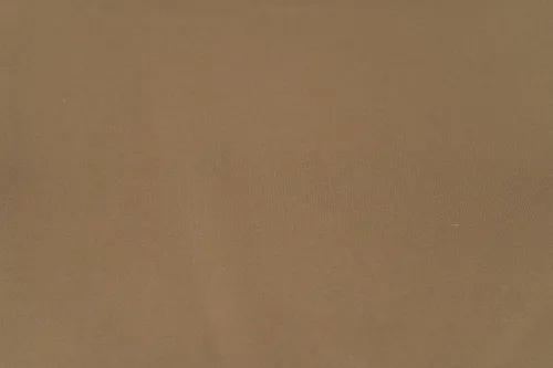 Light Brown Background 10x8