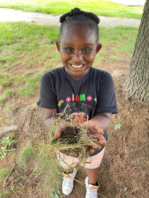 Ecological Inquiry: Bird Exploration 