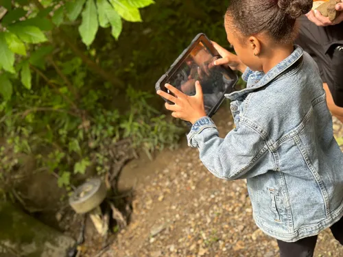 Ecological Inquiry: Nature Photography 