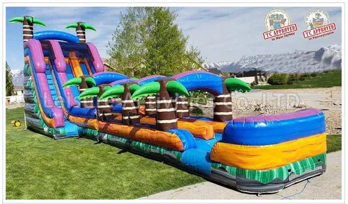 22 Ft. Dual lane Cowabunga Wet/Dry Slide