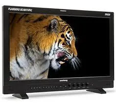 Flanders DM220 OLED 22