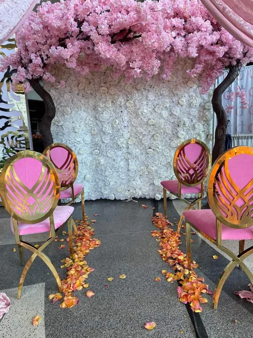 X-Leg Designer Back (R)