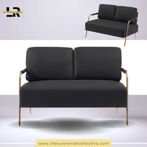 Leather Black Mini Loveseat Sofa (SH)